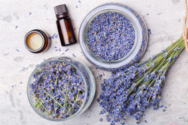 Lavender oil